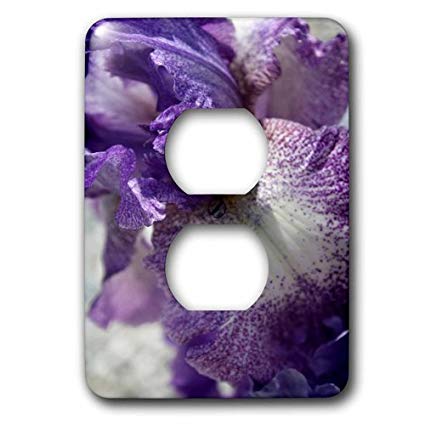 3dRose lsp_214004_6 Iris Close Up in Shades of Cream and Purple 2 Plug Outlet Cover